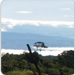 A Distant View of the Chirripo Mountain and Valley