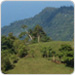 A Northern View of The Costa Rica Waterfall Property