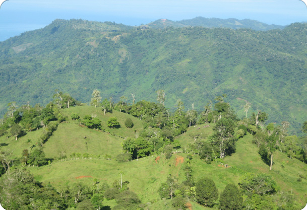 A Northern View of The Costa Rica Waterfall Property