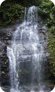 One of the waterfalls at The Costa Rica Waterfall Property